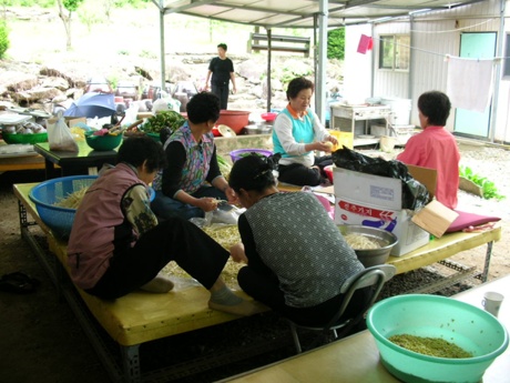 090820_mkbokji103441.jpg